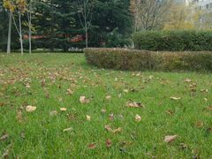 -长安大学(北校区)