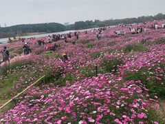 -海珠湖公园