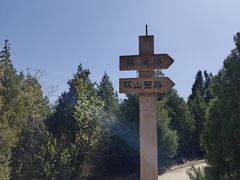 -府君山公园
