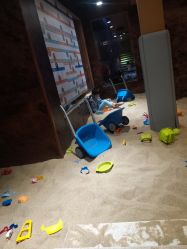 -卡通尼·Safari非洲探索乐园·生日会(金桥国际商业广场店)