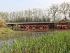 -溱湖国家湿地公园