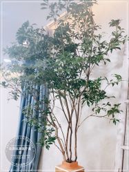 -北京炫美医疗美容
