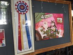 -柴犬高等学院·狗咖·柴犬售卖·宠物训练