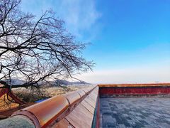 -颐和园