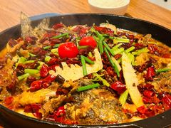 -老板恋上鱼(恒隆广场店)