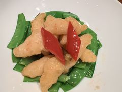 -觅唐MITONG(鸟巢店)
