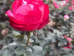 -人民公园(罗湖区)