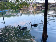 -茵特拉根酒店·西餐厅