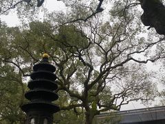 -普陀山风景名胜区-法雨禅寺