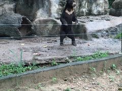 -清迈夜间动物园