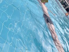 -宝安体育馆游泳馆
