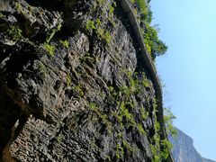 -鹿院坪生态旅游景区