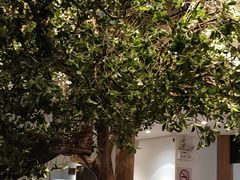 -湘轩·土菜研究院(光大店)