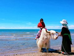 -青海湖国家重点风景名胜区