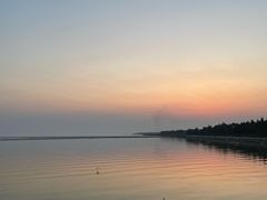 -贡湖湾湿地公园
