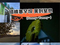 -御道口草原森林风景区