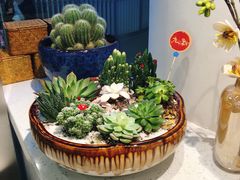 -九秋茶铺(三里屯店)