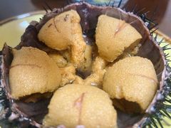 -南山酒肆(南山董事绘店)