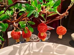 -唐猫庭院·千年陕菜(赛格国际购物中心店)
