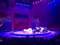 -珠海横琴长隆《卡卡虎奇遇记》