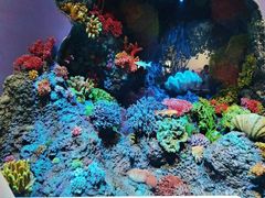 -中国湿地博物馆