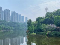 -重庆彩云湖湿地公园