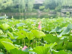 -日出青木·杭帮菜名店