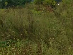 -湖南工业大学(主校区（河西校区）)