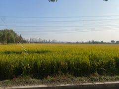 -嘉北郊野公园