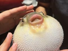 -永安鱼庄·镇江菜(东吴路店)