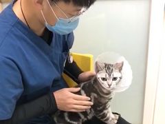 -宠福鑫康馨动物医院·骨科·眼科