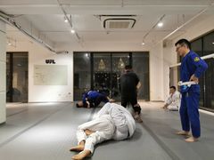 -EFL巴西柔术·综合格斗·泰拳·少儿体能训练(虹桥德必馆)