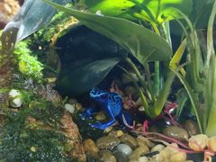-暹罗海洋世界