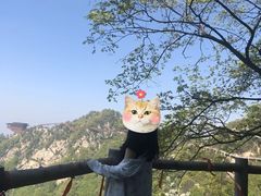 -少华山国家森林公园