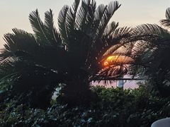 -味餐厅·海鲜·火锅·自助餐