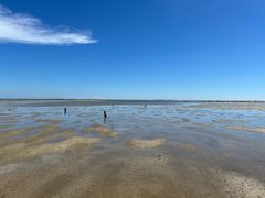 -北海金海湾红树林生态旅游区