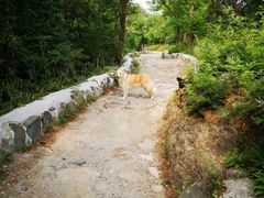 -阳台山自然风景区