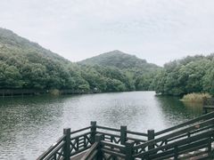 -白马涧龙池景区