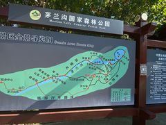 -茅兰沟国家森林公园