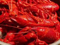 -蚝翅·海鲜粥·烧烤·龙虾季(海曙天一店)
