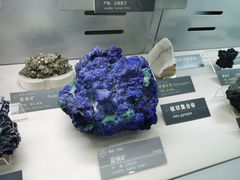 -中国地质博物馆