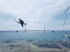 -星海广场