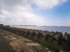 -上海滨江森林公园