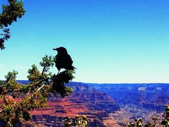 -科罗拉多大峡谷