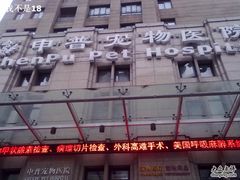 -申普宠物医院·心脏介入·心血管微创(总院)