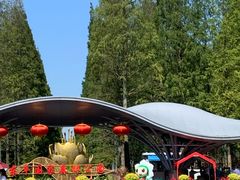 -东平国家森林公园
