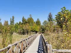 -野鸭湖国家湿地公园