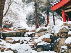 -北京艺术博物馆(万寿寺)