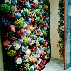 -戛纳印象摄影(潮拍定制馆)