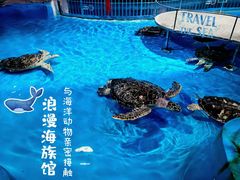 -泉城欧乐堡海洋极地世界